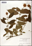 000059535-thumbnail.jpg