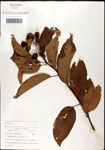 000059538-thumbnail.jpg