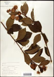 000059540-thumbnail.jpg