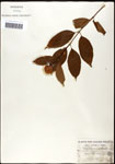 000059542-thumbnail.jpg