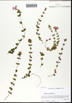 000059602-thumbnail.jpg