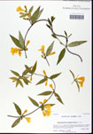 000059652-thumbnail.jpg
