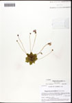 000059687-thumbnail.jpg
