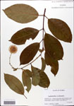 000059696-thumbnail.jpg