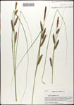 000059717-thumbnail.jpg
