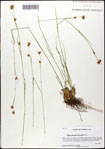 000059723-thumbnail.jpg