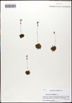 000059738-thumbnail.jpg