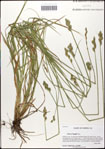 000059744-thumbnail.jpg