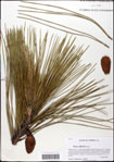 000059762-thumbnail.jpg