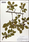 000059763-thumbnail.jpg