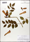 000059800-thumbnail.jpg