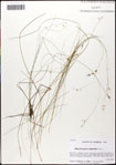 000059803-thumbnail.jpg