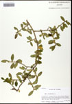 000059810-thumbnail.jpg