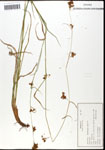000059823-thumbnail.jpg