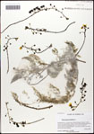 000059849-thumbnail.jpg