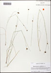 000059986-thumbnail.jpg