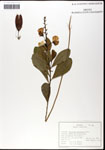 000060514-thumbnail.jpg
