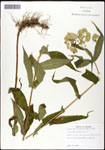 000060518-thumbnail.jpg