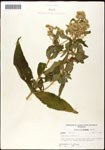 000060522-thumbnail.jpg