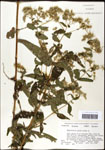000060524-thumbnail.jpg