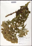 000060531-thumbnail.jpg