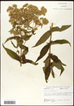 000060533-thumbnail.jpg