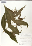 000060534-thumbnail.jpg
