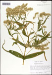 000060540-thumbnail.jpg