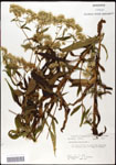 000060541-thumbnail.jpg
