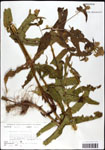 000060543-thumbnail.jpg