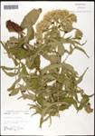 000060559-thumbnail.jpg