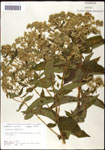 000060563-thumbnail.jpg