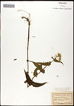 000060564-thumbnail.jpg