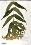 000060566-thumbnail.jpg