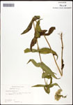 000060569-thumbnail.jpg