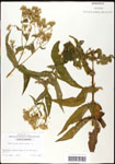 000060576-thumbnail.jpg