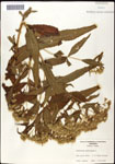 000060580-thumbnail.jpg