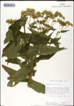 000060581-thumbnail.jpg