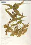 000060583-thumbnail.jpg