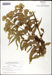 000060584-thumbnail.jpg