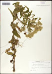 000060585-thumbnail.jpg