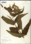 000060587-thumbnail.jpg