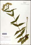 000060591-thumbnail.jpg