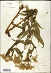 000060593-thumbnail.jpg
