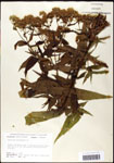 000060603-thumbnail.jpg