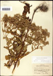 000060604-thumbnail.jpg