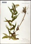 000060605-thumbnail.jpg