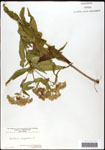 000060607-thumbnail.jpg