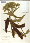 000060608-thumbnail.jpg