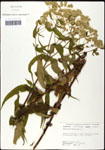 000060614-thumbnail.jpg